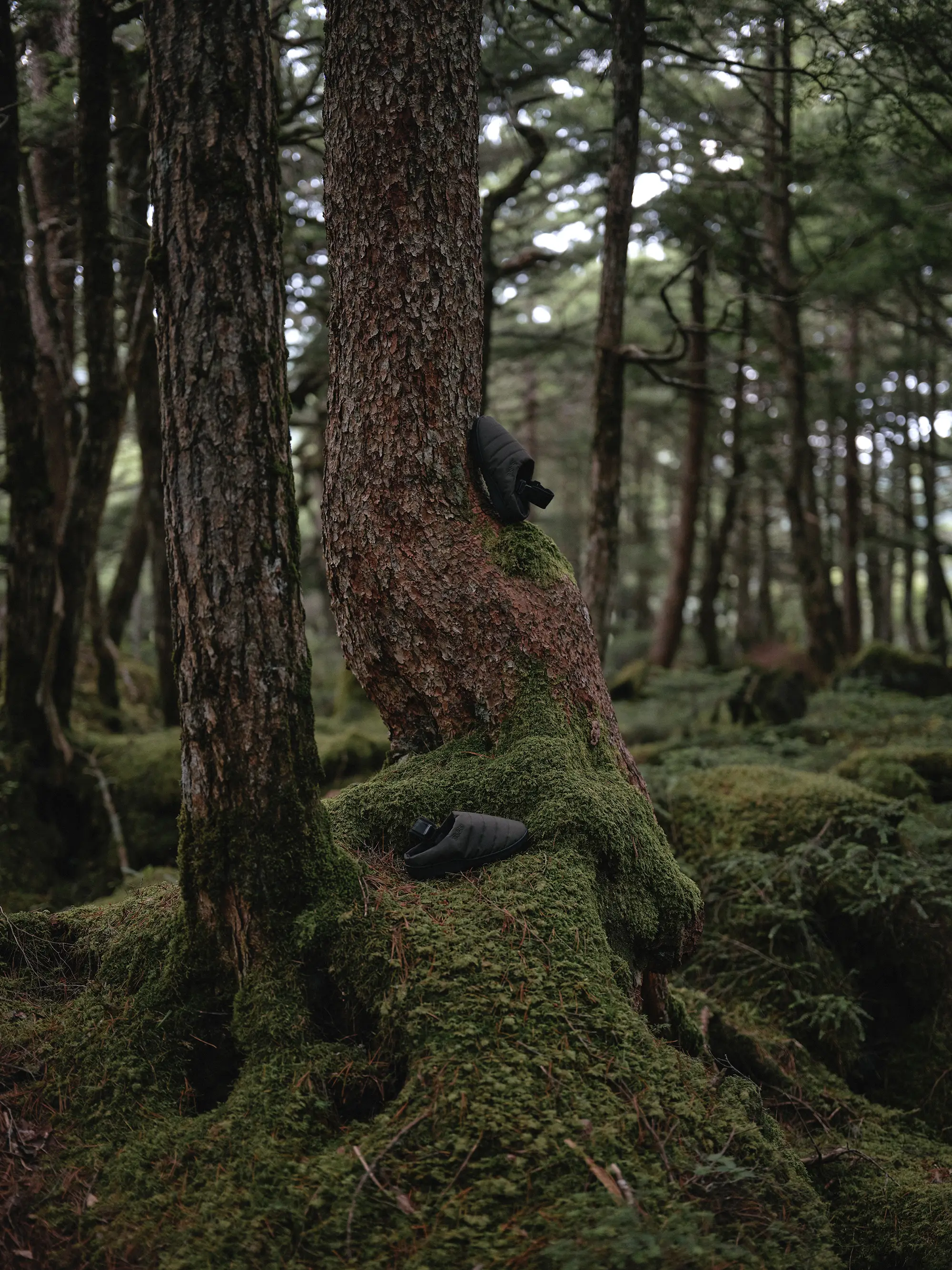 SUBU Nannen +H KHAKI - Image 8