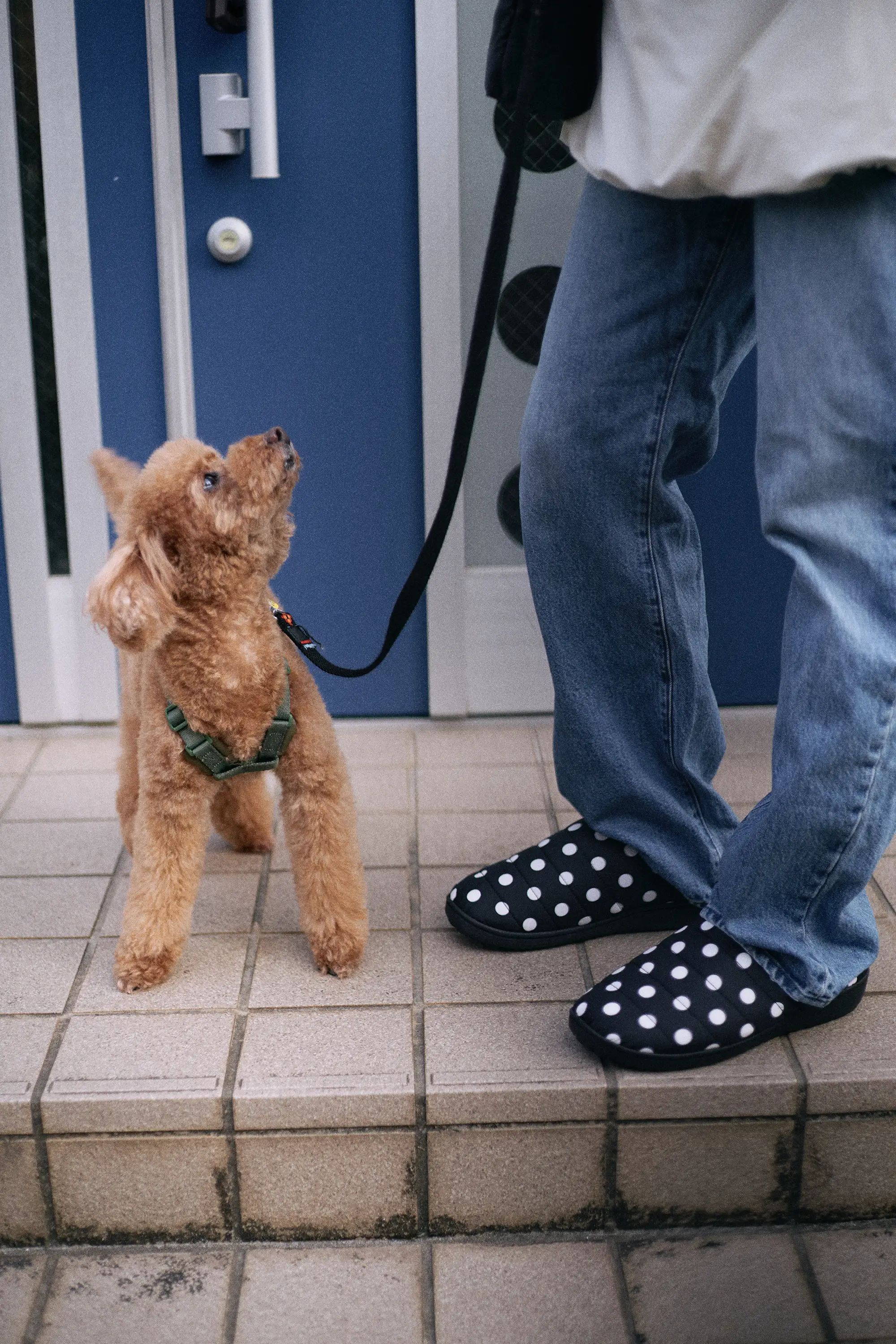 SUBU Originals F-Line DOTS - Image 10